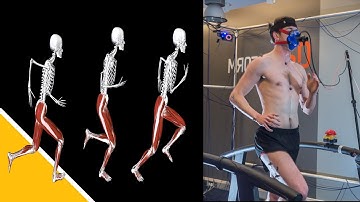 Gait Cycle Phases, Events and Normalization