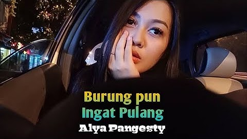 Burungpun Ingat Pulang - Alya Pangesty - LIVE Andry Enterprised Official