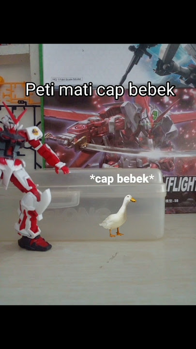 Peti mati cap bebek🗿 #gundammeme #memeabsurd #iklan