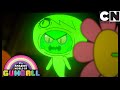 La Flor | O Incrível Mundo de Gumball | Cartoon Network 🇧🇷