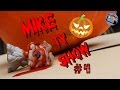 Littlest pet shop  mike tv show episode 4 pumpkin carving goes wrong halloween special