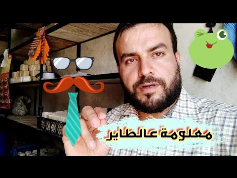 فيديو: هل سائل غسيل الصحون حامض أم قاعدي؟