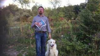 Voted Best Dog Boarding Facility in Boise for 2016 by Boise Weekly!