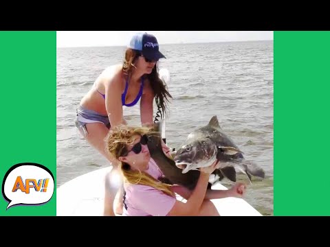 PHOTO Turned FISH SLAP! ? | Fails of the Week | AFV 2021