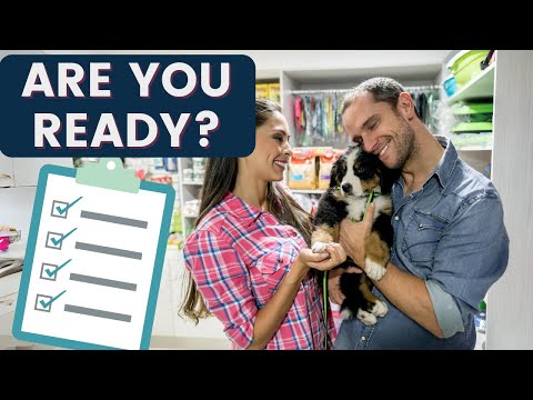 New Puppy Checklist: Preparing for Dogs Arrival