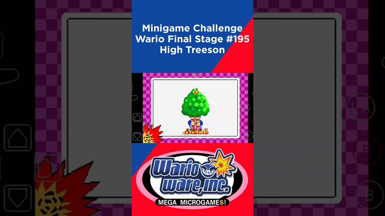 Minigame Challenge 