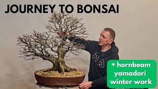 Journey to Bonsai