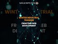 FrontEnd Web Development Track | Winter Industrial Training 2021 #shorts