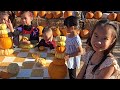 Goff Family Pumpkin Patch 2024