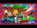 2 Hours of Flamingo Roblox Admin Abuse Why No