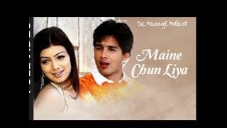 Maine Chun Liya [Full Audio HD]