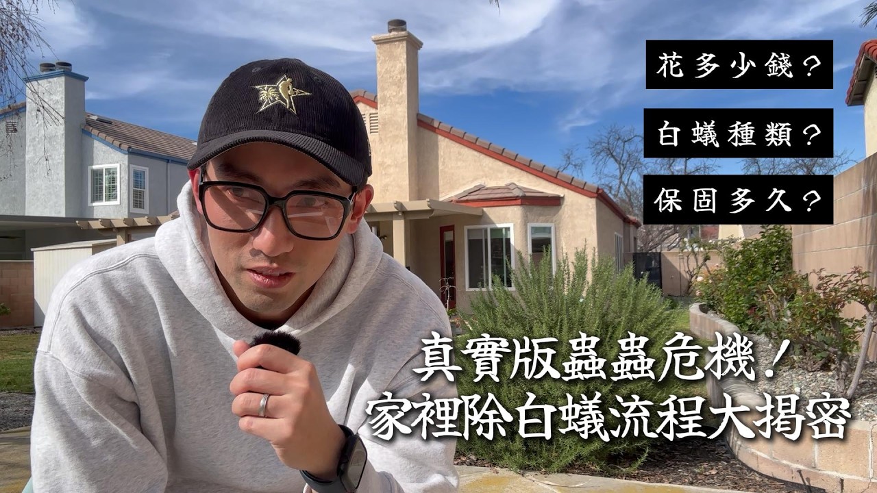 真實版蟲蟲危機！家裡除白蟻流程大揭密