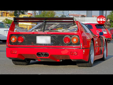 世界の名車 F40 カウンタックやほぼレーシングカー など 大黒pa 輸入車 スーパーカー アメ車 Youtube