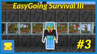 EasyGoing Survival III #3: Good Bye Dragon, Hello Elytra!
