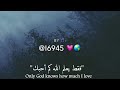 فقط يعلم الله كم احبك ملكياان