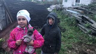Маша и Иви в деревне( коровы, куры, цыплята, собака и кошка) Прикол с большой собачкой , пописала . Маша и Иви в деревне( коровы, куры, цыплята, собака и кошка) Прикол с большой собачкой , пописала .