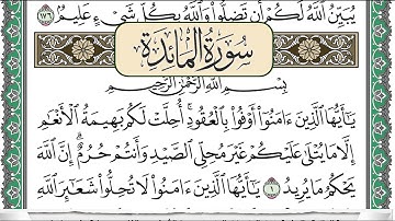 سورة المائدة | سعد الغامدي