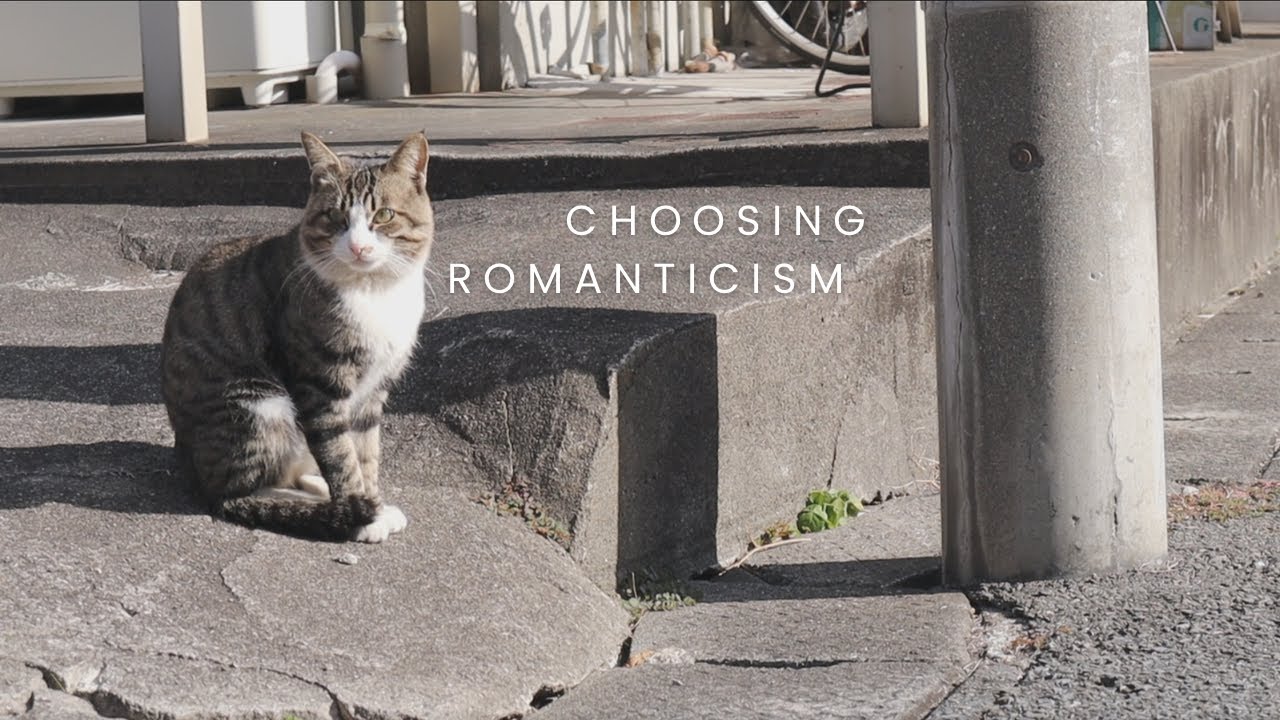 My Way to Begin 2026?