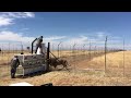 A hospital stay for rescued lion zeus