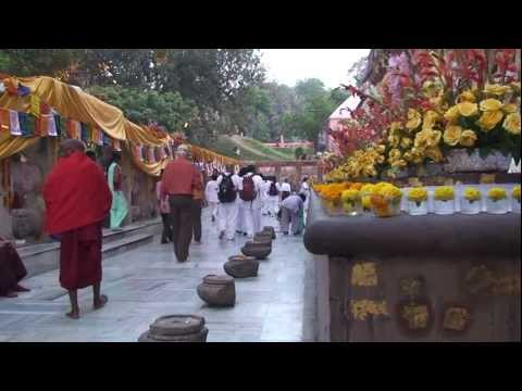 Video: Bodh Gaya i Indien: En reseguide