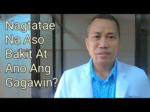 Nagtatae Na Aso : Bakit At Ano Ang Gagawin // Payo Ni Doc.