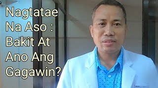 Nagtatae Na Aso : Bakit At Ano Ang Gagawin // Payo Ni Doc.