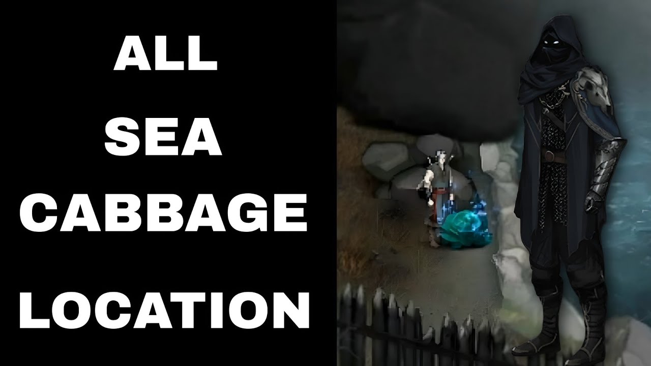 ALL SEA CABBAGE LOCATION | VAMPIRE FALL 2 🧛