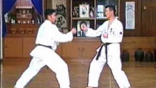 Uechi-ryu tournament techniques