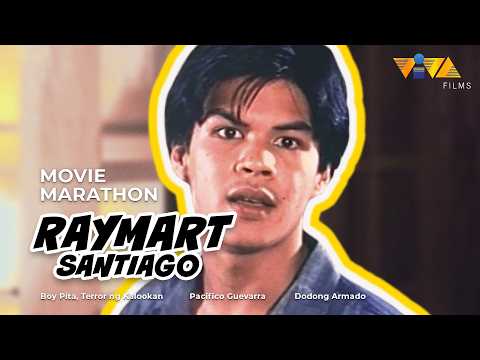 We Can’t Get Enough of These High Energy Action Films! | Raymart Santiago Marathon