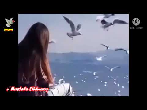 روح قلبي يا ملاك ايامي يا روح قلبي اجمل مقطع بصوت أم كلثوم من اغنية الحب كله