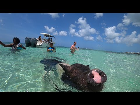 Video: Nassau na Bahamách – Fotogaléria