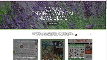 Wix Wordpress Blog Import