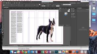 InDesign layout tips for Project 6.