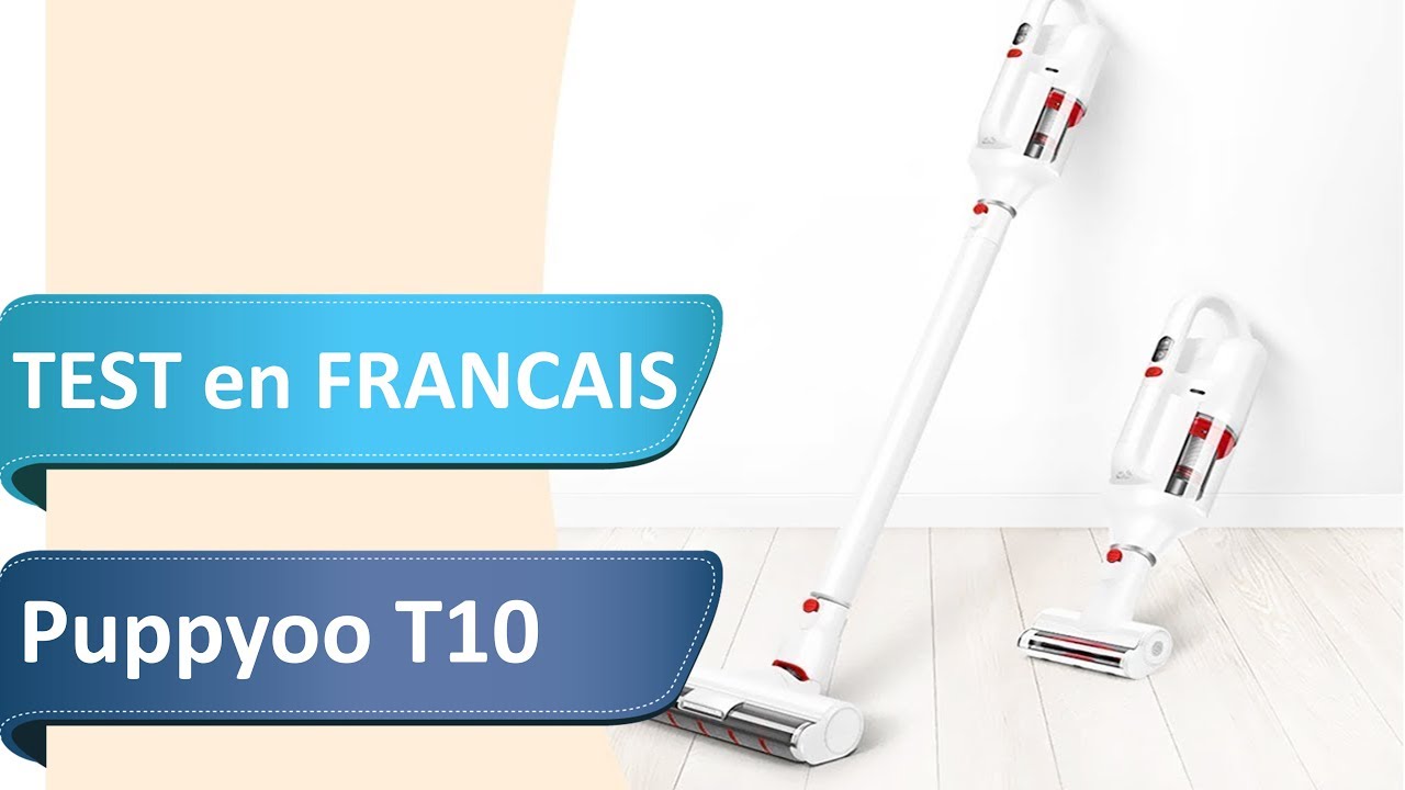 Évaluation de l'aspirateur pour poils de chiens et chats P17 de