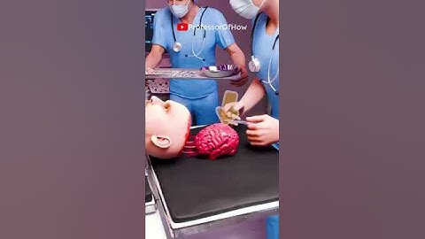 3D animation vidio#professor of how# most really vidio and really concept @ProfessorOfHow ❤️