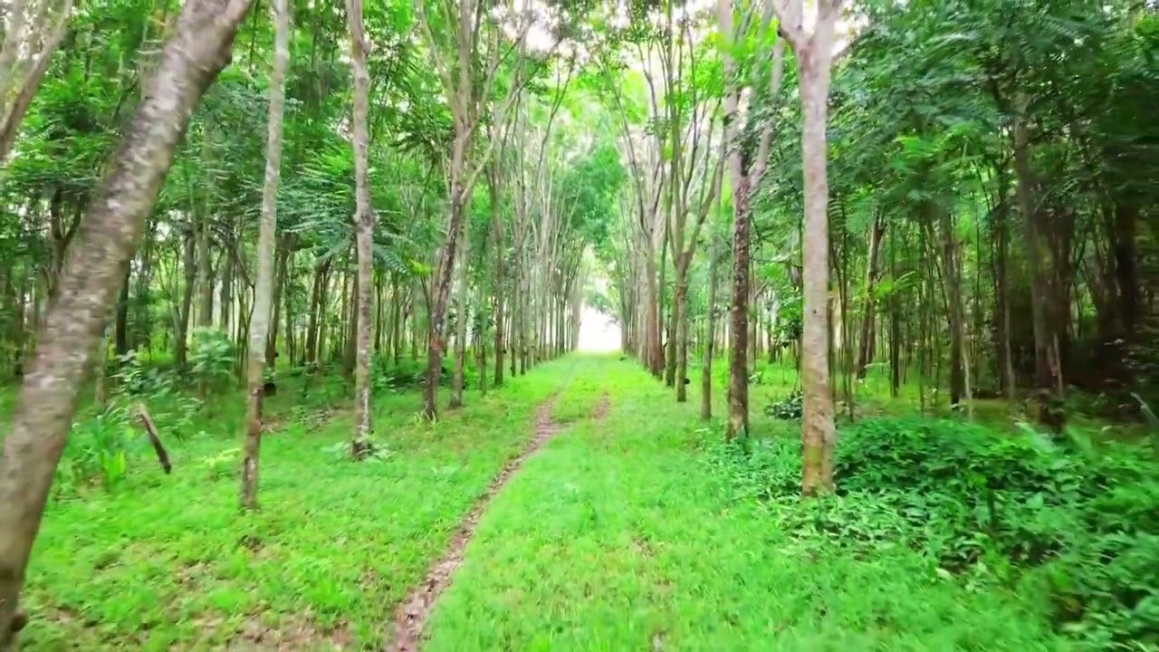 MEDITACIÓN. QUE QUIERO PARA MÍ