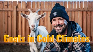 Top Farming Expert Shares Secrets For Raising Goats In Cold Climates