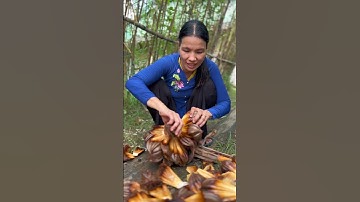 Món ăn tuổi thơ | Phương Bến Tre #phuongbentre #monque #mientay