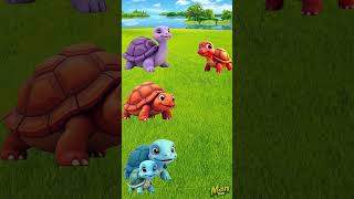 Come On Friends Help The Father Turtle Find His Child shorts animation cartoon usa
