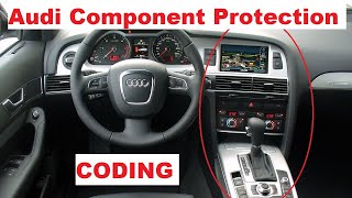 Celebrity ✅ Audi A6 C6 2009 3.0TDI 176kw Radio Component protection Removing/Adaption Profile