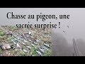 Chasse au poste pas comme les autres !!! (pigeon, oies) - F&S chasse