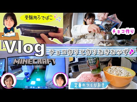 ★Vlog★土曜日!チョコマシュマロクッキーと作りおきおかず♪