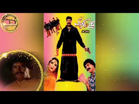 KAKAY DA KHARAK (1992) MOVIE CAST & FACT | SULTAN RAHI & ANJUMAN | PAKISTANI OLD PUNJABI MOVIE