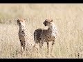 Tanzania Safari 2017: Serengeti, Ngorongoro Crater, Tarangire &amp; Lake Manyara