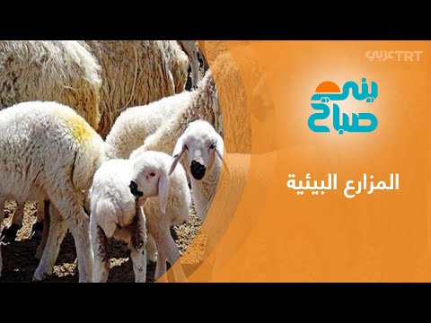 المزارع البيئية نمط حديث من السياحة بولاية قوجه ألي غربي تركيا
