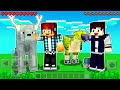 SOBREVIVENDO A PRIMEIRA NOITE NA DIMENSÃO MALUCA !! - Minecraft PE com Mobs