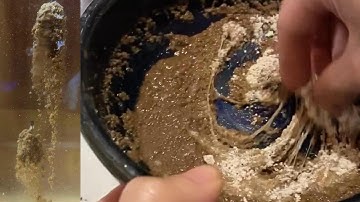 Cách dùng tơ nhện | P2 Mồi vuốt , dễ nhất cho người mới