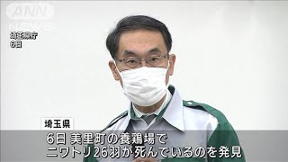 埼玉の養鶏場で鳥インフル　1万7000羽を殺処分(2021年12月7日)