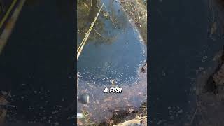 Casting Is Overrated...