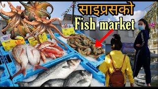 Fish Market in Limassol Cyprus //  Fresh Fish // Random Vlog // Global Nepal1
